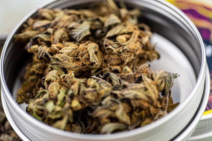 CBD Blüten Wirkung: Was du wissen musst